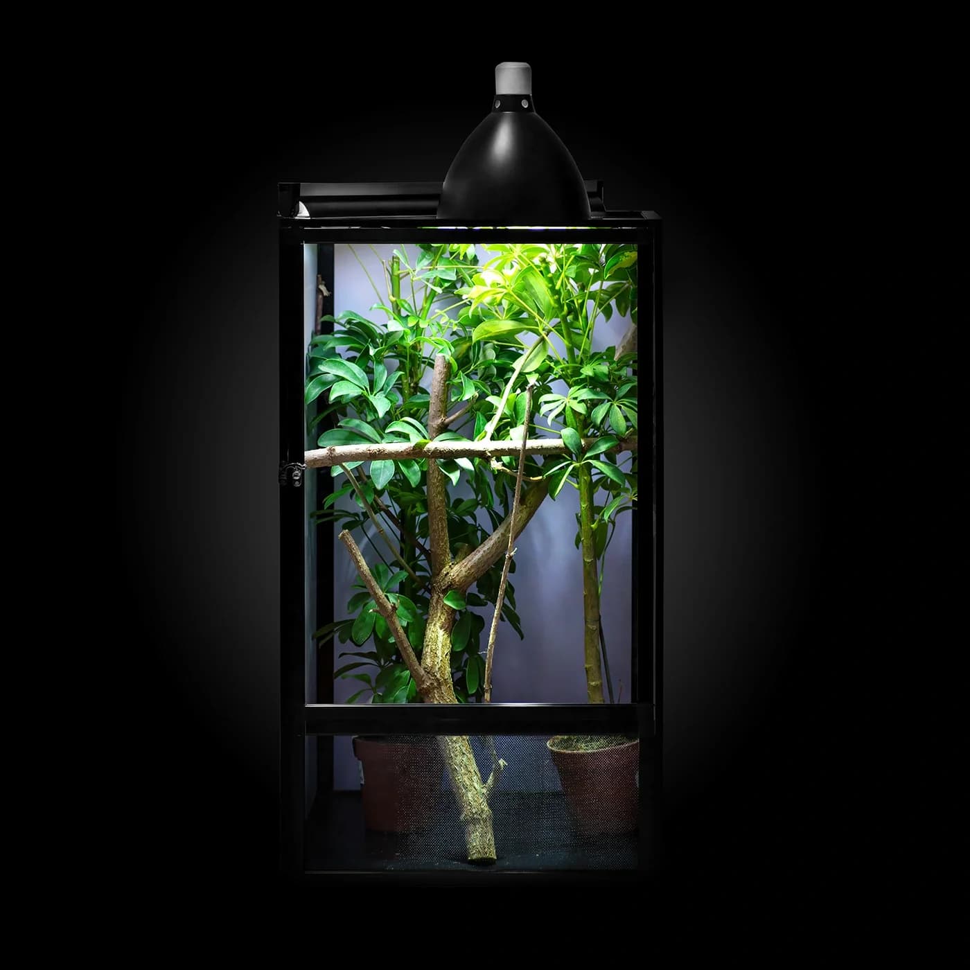 Terrarium T BLACK 4 (50x50x100 cm)