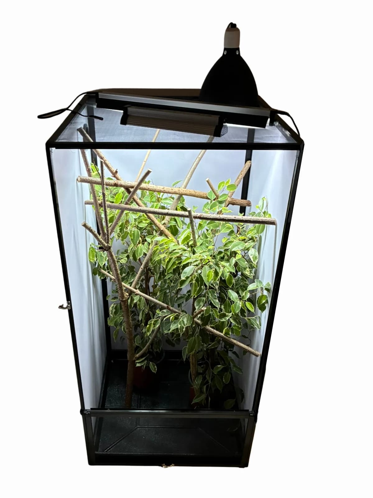 Terrarium T BLACK 4 (50x50x100 cm)